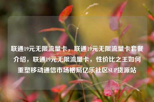 联通19元无限流量卡，联通19元无限流量卡套餐介绍，联通19元无限流量卡	，性价比之王如何重塑移动通信市场格局亿乐社区SUP货源站  第1张