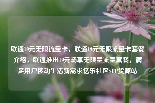 联通19元无限流量卡，联通19元无限流量卡套餐介绍	，联通推出19元畅享无限量流量套餐，满足用户移动生活新需求亿乐社区SUP货源站  第1张