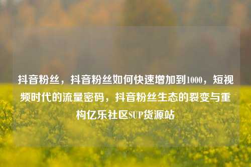 抖音粉丝，抖音粉丝如何快速增加到1000，短视频时代的流量密码，抖音粉丝生态的裂变与重构亿乐社区SUP货源站  第1张
