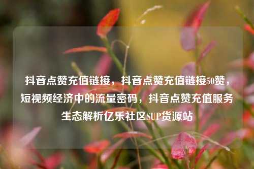 抖音点赞充值链接	，抖音点赞充值链接50赞，短视频经济中的流量密码，抖音点赞充值服务生态解析亿乐社区SUP货源站  第1张